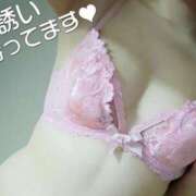 ヒメ日記 2025/05/20 18:03 投稿 みほ しろうさぎ