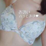 ヒメ日記 2025/05/21 20:23 投稿 みほ しろうさぎ