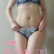 ヒメ日記 2025/07/01 08:13 投稿 みほ しろうさぎ