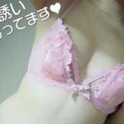 ヒメ日記 2025/11/26 20:13 投稿 みほ しろうさぎ