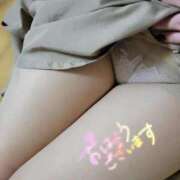 ヒメ日記 2026/04/06 09:13 投稿 みほ しろうさぎ