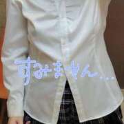 ヒメ日記 2026/05/19 09:43 投稿 みほ しろうさぎ