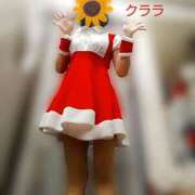 ヒメ日記 2024/12/14 21:12 投稿 クララ スイカ