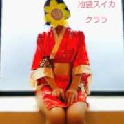 ヒメ日記 2024/12/26 13:57 投稿 クララ スイカ