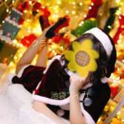 ヒメ日記 2024/12/26 15:16 投稿 クララ スイカ