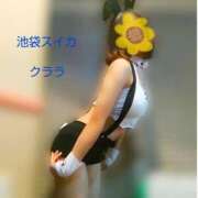 ヒメ日記 2024/12/26 18:34 投稿 クララ スイカ