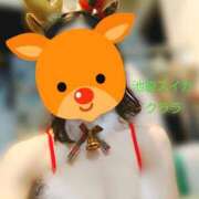 ヒメ日記 2024/12/30 13:49 投稿 クララ スイカ