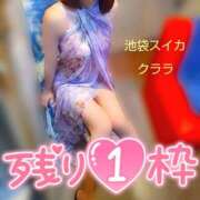 ヒメ日記 2025/01/04 22:00 投稿 クララ スイカ