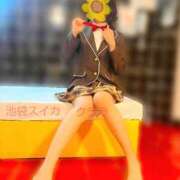 ヒメ日記 2025/01/05 17:10 投稿 クララ スイカ