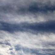 ヒメ日記 2025/01/05 23:45 投稿 クララ スイカ