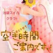 ヒメ日記 2025/01/11 16:51 投稿 クララ スイカ