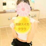 ヒメ日記 2025/01/13 12:31 投稿 クララ スイカ