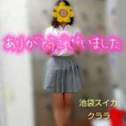 ヒメ日記 2025/01/14 02:41 投稿 クララ スイカ