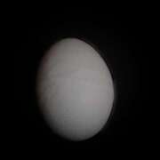 ヒメ日記 2025/01/14 17:30 投稿 クララ スイカ