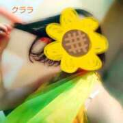 ヒメ日記 2025/01/30 20:32 投稿 クララ スイカ