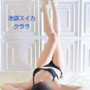 ヒメ日記 2025/03/02 11:15 投稿 クララ スイカ