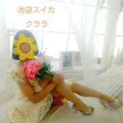 ヒメ日記 2025/03/10 12:15 投稿 クララ スイカ