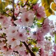 ヒメ日記 2025/04/19 12:15 投稿 クララ スイカ