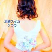 ヒメ日記 2025/04/20 15:45 投稿 クララ スイカ