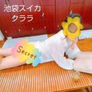 ヒメ日記 2025/04/23 12:45 投稿 クララ スイカ