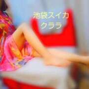 ヒメ日記 2025/05/01 17:15 投稿 クララ スイカ