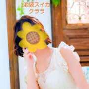 ヒメ日記 2025/05/11 15:15 投稿 クララ スイカ