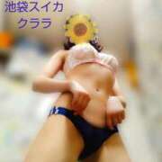 ヒメ日記 2025/05/14 12:30 投稿 クララ スイカ