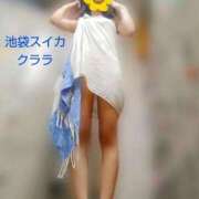 ヒメ日記 2025/05/25 15:15 投稿 クララ スイカ