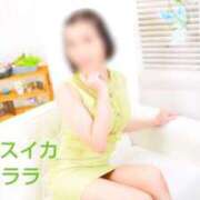 ヒメ日記 2025/05/26 12:15 投稿 クララ スイカ