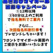 ヒメ日記 2025/05/27 12:00 投稿 クララ スイカ