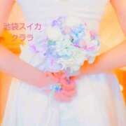 ヒメ日記 2025/05/29 15:45 投稿 クララ スイカ