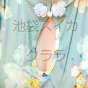 ヒメ日記 2025/05/30 12:30 投稿 クララ スイカ