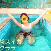 ヒメ日記 2025/05/31 12:15 投稿 クララ スイカ