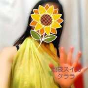 ヒメ日記 2025/06/03 03:15 投稿 クララ スイカ