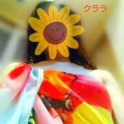 ヒメ日記 2025/06/10 03:09 投稿 クララ スイカ