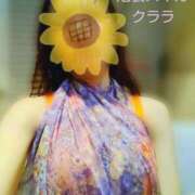 ヒメ日記 2025/06/15 11:54 投稿 クララ スイカ