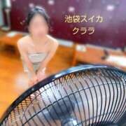 ヒメ日記 2025/06/16 07:00 投稿 クララ スイカ