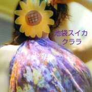 ヒメ日記 2025/06/16 08:45 投稿 クララ スイカ