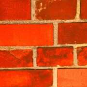 ヒメ日記 2025/06/17 17:15 投稿 クララ スイカ