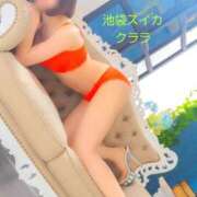 ヒメ日記 2025/06/18 07:15 投稿 クララ スイカ