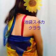 ヒメ日記 2025/06/20 10:52 投稿 クララ スイカ