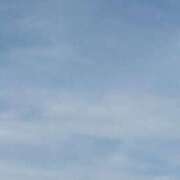 ヒメ日記 2025/06/22 02:53 投稿 クララ スイカ