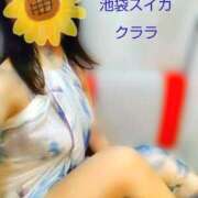 ヒメ日記 2025/06/29 03:33 投稿 クララ スイカ