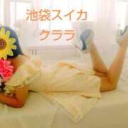 ヒメ日記 2025/06/29 15:15 投稿 クララ スイカ