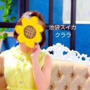 ヒメ日記 2025/06/30 17:45 投稿 クララ スイカ