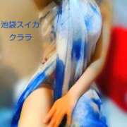 ヒメ日記 2025/07/01 10:43 投稿 クララ スイカ