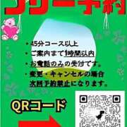 ヒメ日記 2025/07/04 17:00 投稿 クララ スイカ