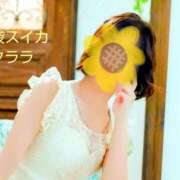 ヒメ日記 2025/07/05 22:29 投稿 クララ スイカ