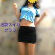 ヒメ日記 2025/07/06 02:54 投稿 クララ スイカ