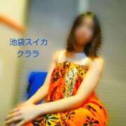 ヒメ日記 2025/07/27 12:03 投稿 クララ スイカ